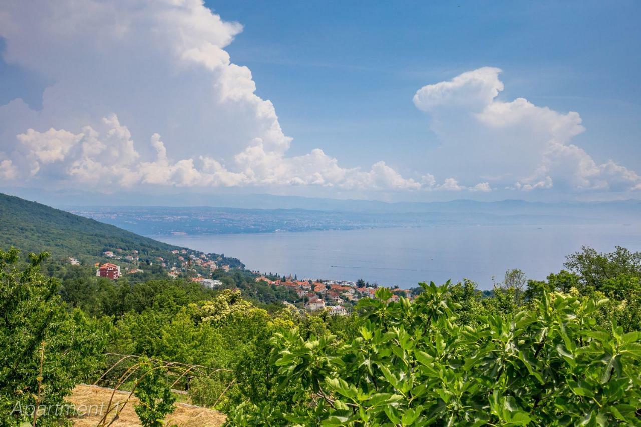 Apartments Rumac Opatija Buitenkant foto